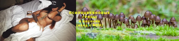 круглые Нея